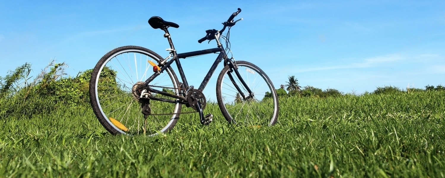 alquiler bicicletas ciutadella